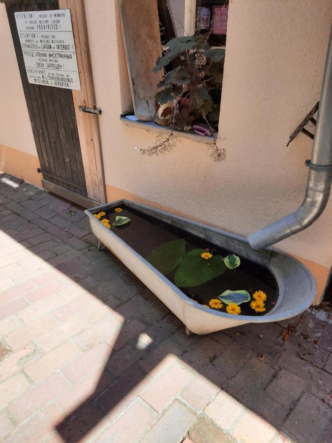 Spreewaldunterkunft Buchecker Lubben